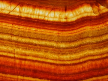 Backlit onyx - Onyx wall/floor tiles by RAMA 1956 - view 2